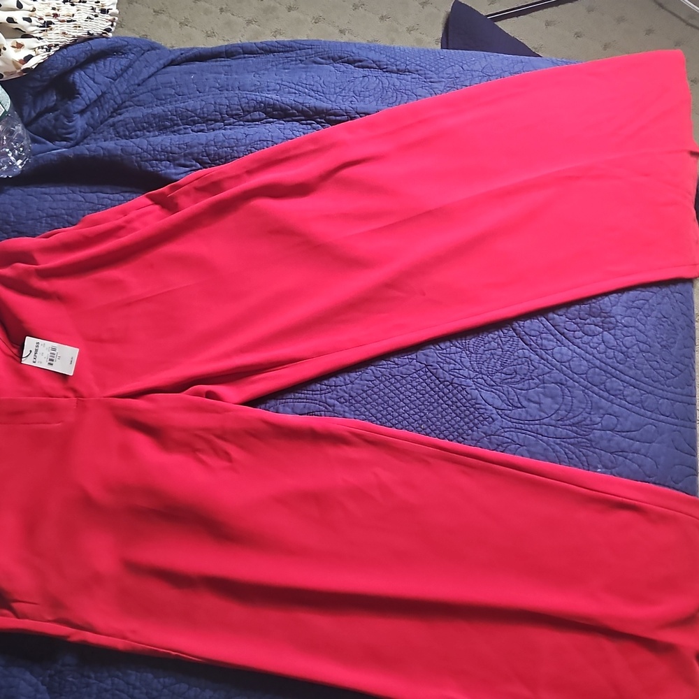 Express Women's Red Trousers